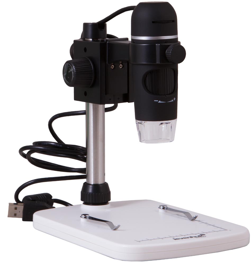 LEV-61022_1.jpg