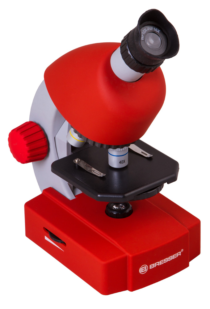 LEV-70122_5.jpg