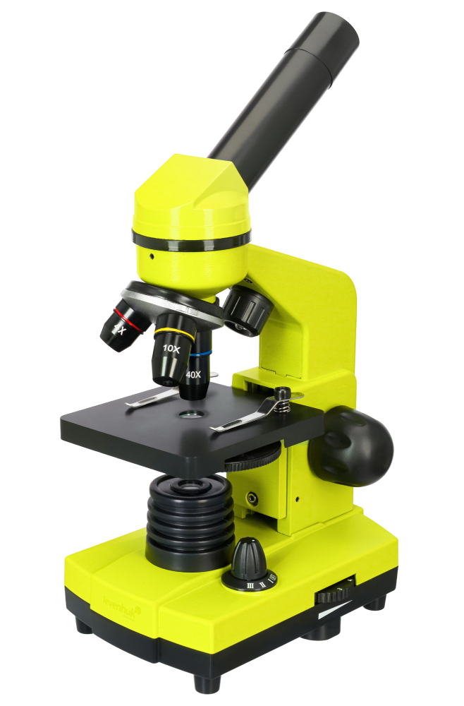 LEV-70227_1.jpg