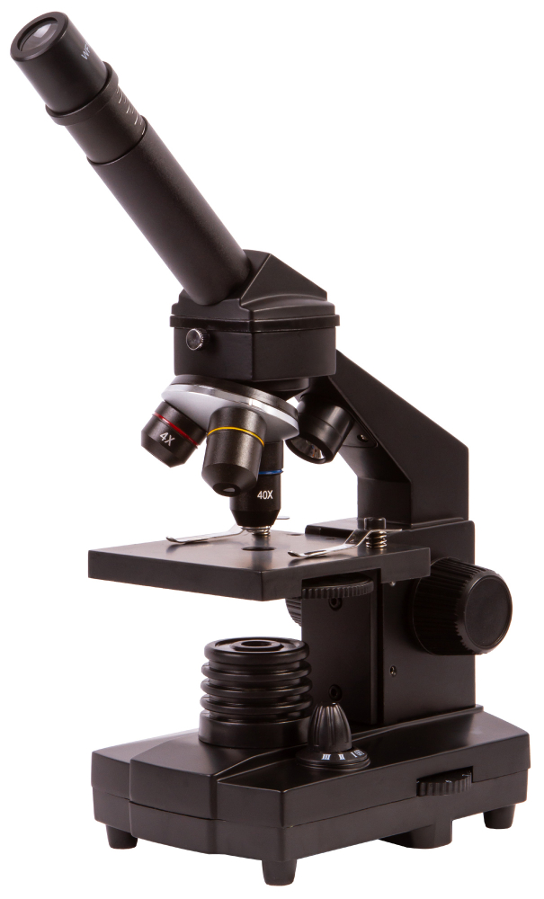 LEV-72351_5.jpg