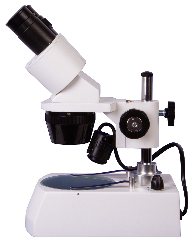 LEV-74313_5.jpg