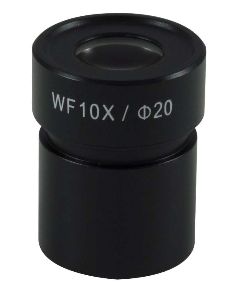 LEV-74533.jpg