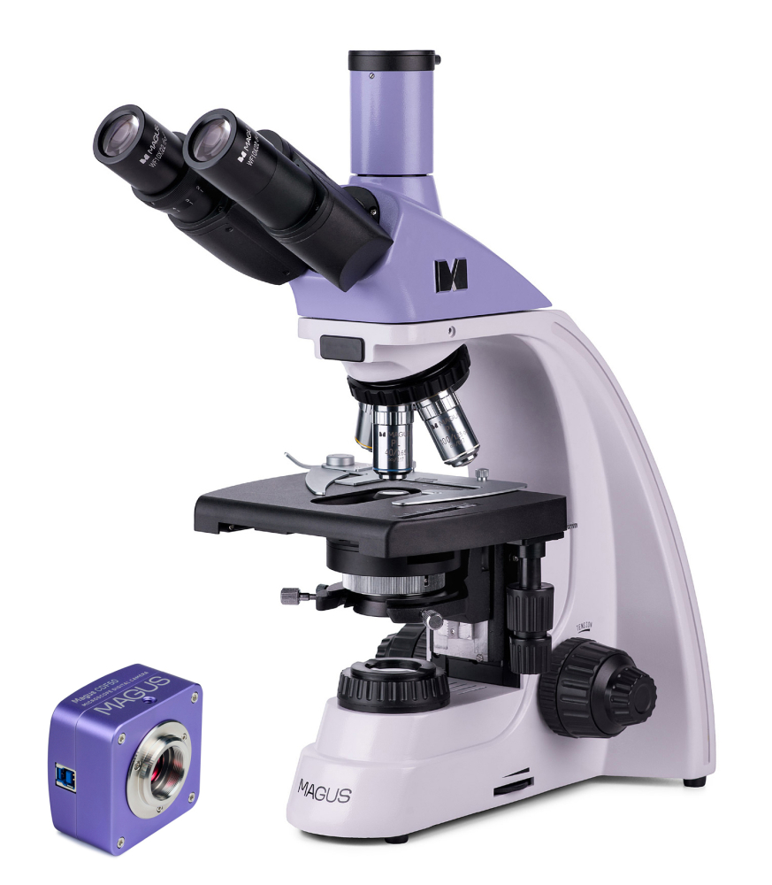 LEV-83008_1.jpg