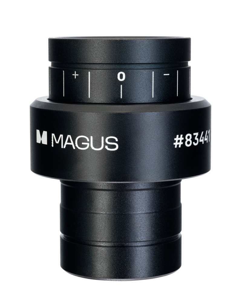 LEV-83441_3.jpg