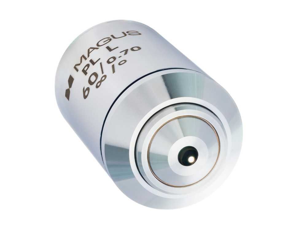 LEV-83464_3.jpg