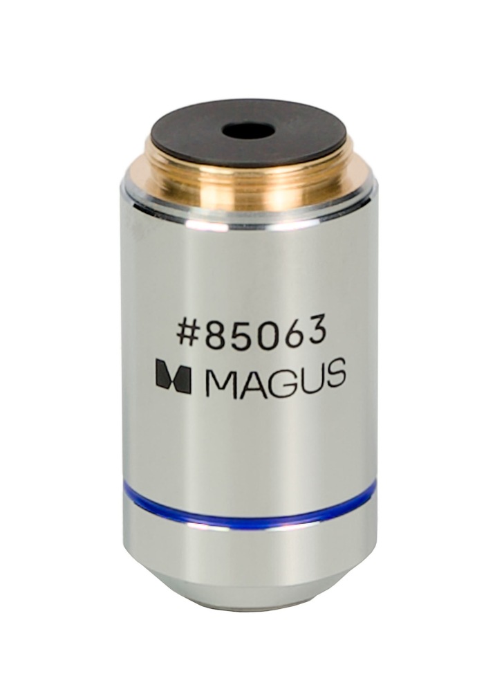 LEV-85063_2.jpg