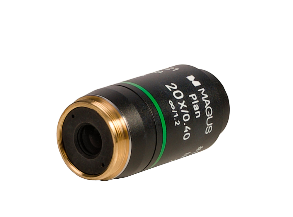 LEV-85121_4.jpg