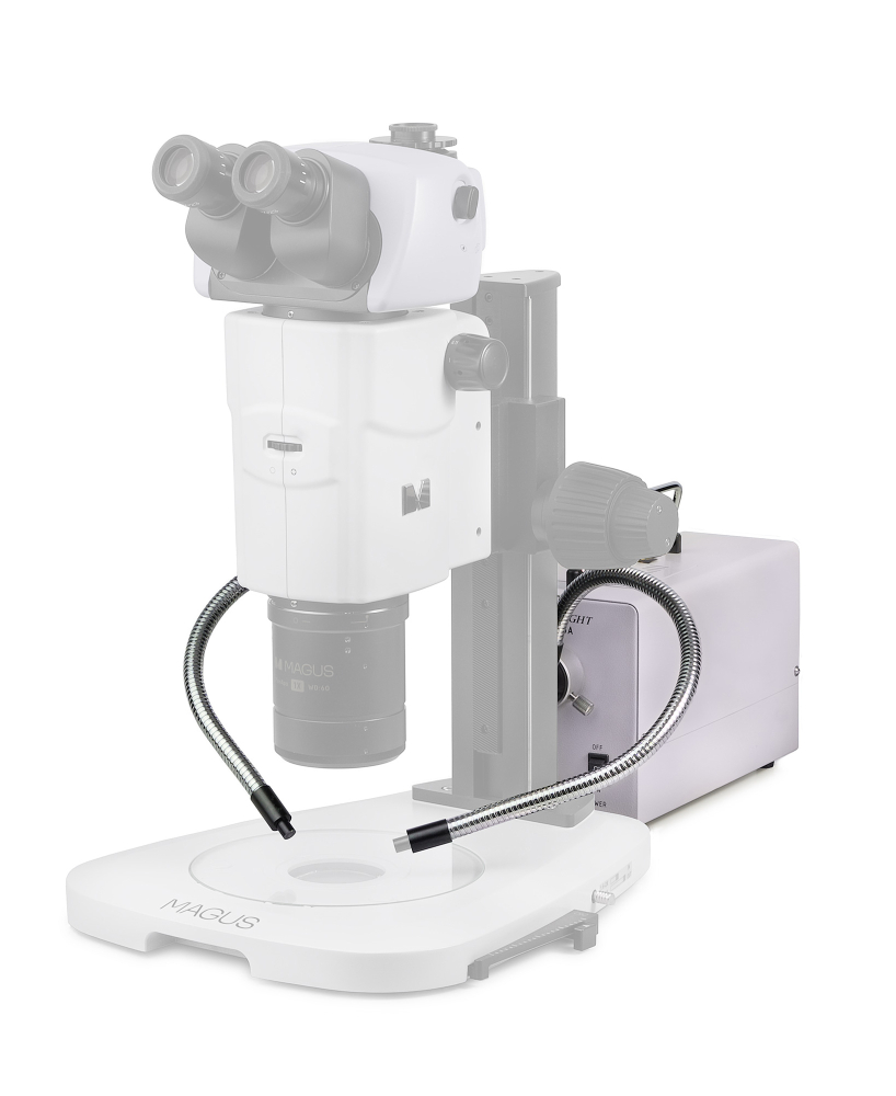 LEV-85128_4.jpg
