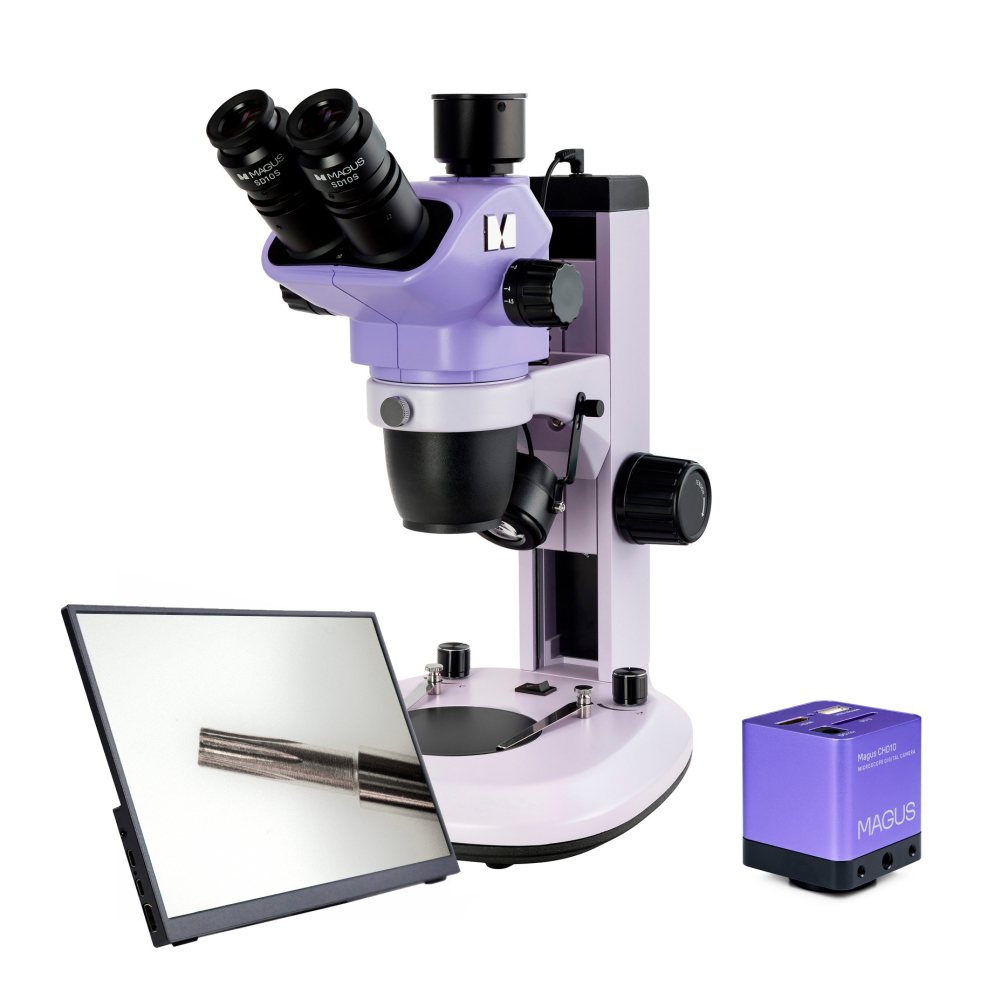 LEV-85279_1.jpg