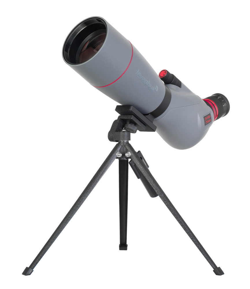 LEV-85932_1.jpg